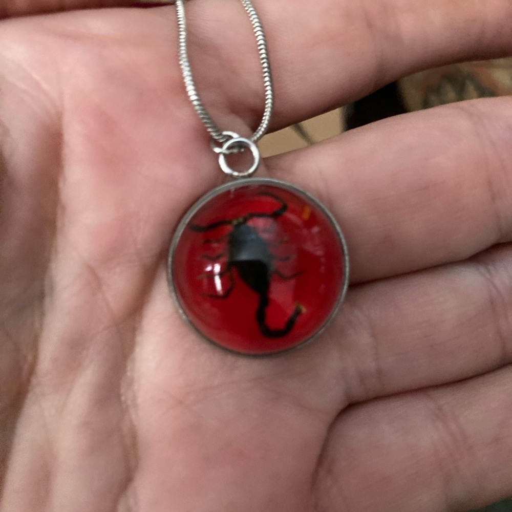 Real Scorpion in Resin Necklace Pendant Specimen jewelry Stainless Steel